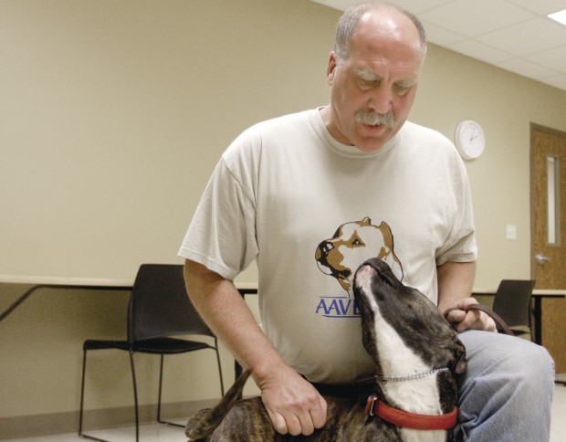 Euthanasia often a last resort for animal shelters