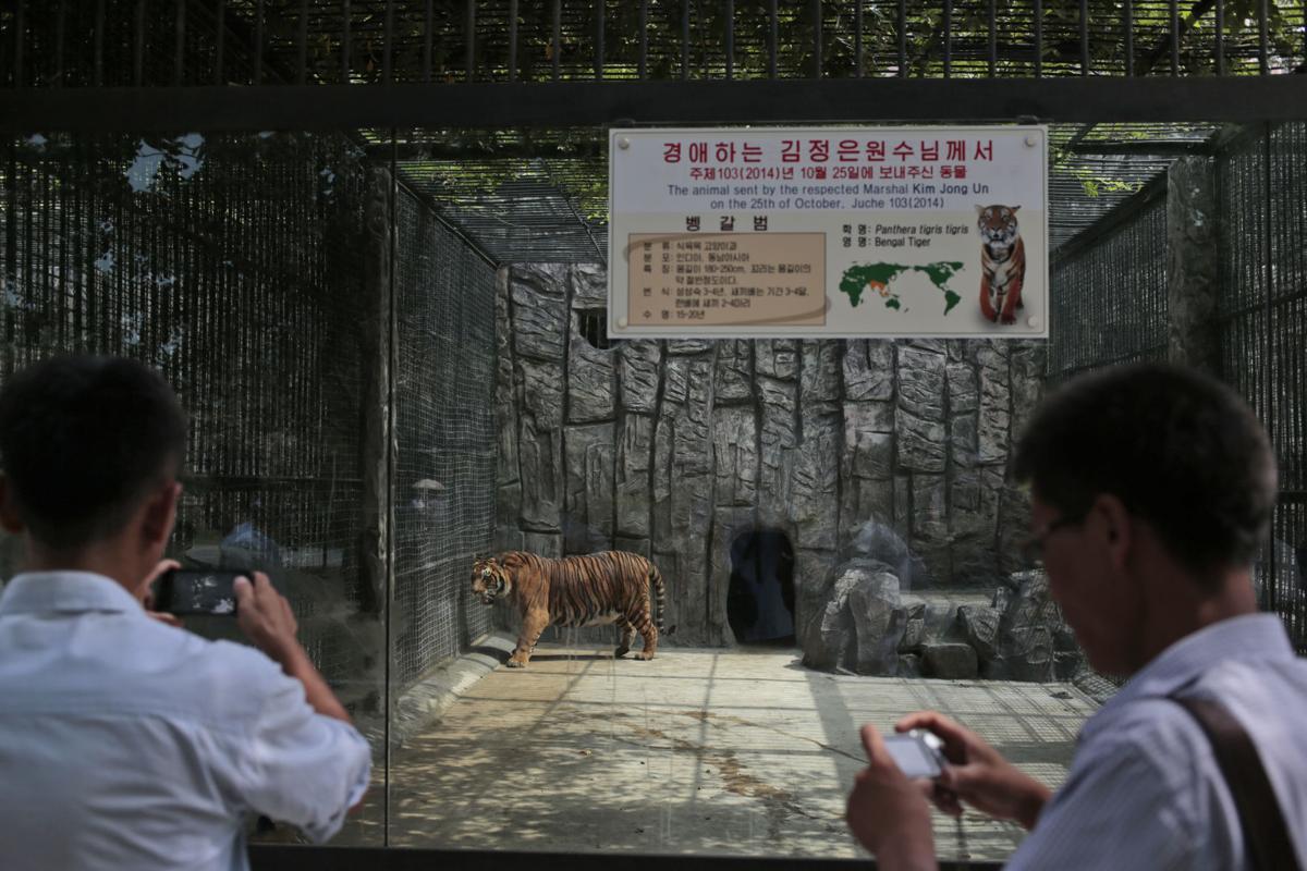 North Korea A Day At The Zoo