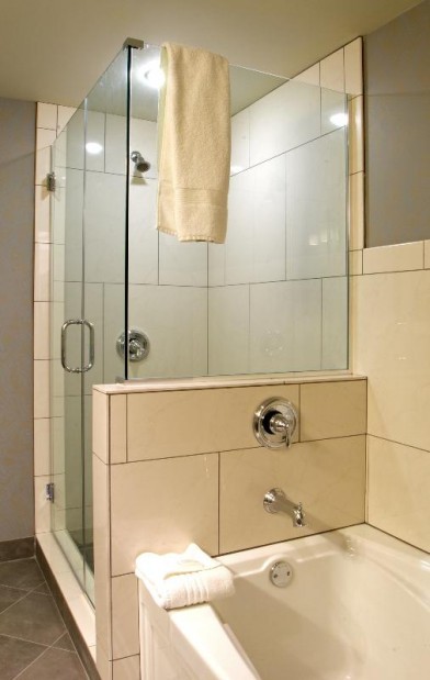 Tub - Shower Guest Room