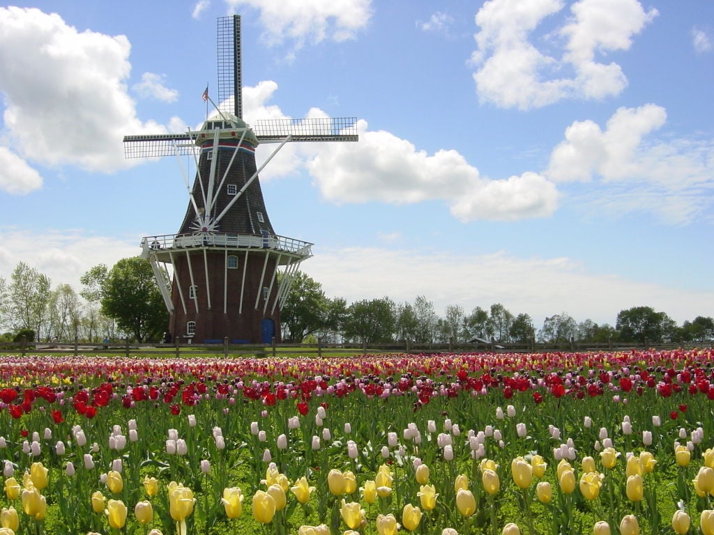 Take trip to Michigan for famous Tulip Festival
