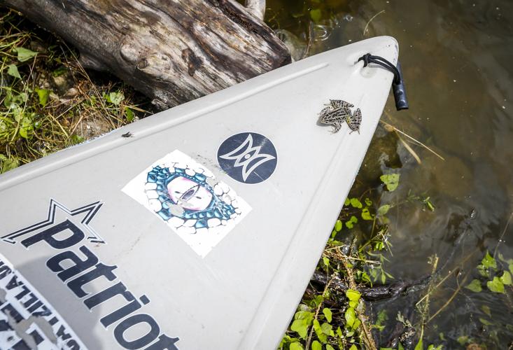 Paddlers make splash, but no record at Floatzilla