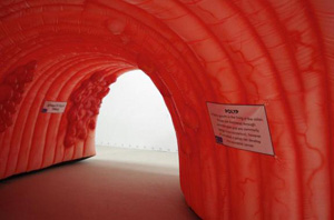 Take a trip inside giant inflatable colon | Local News | qctimes.com