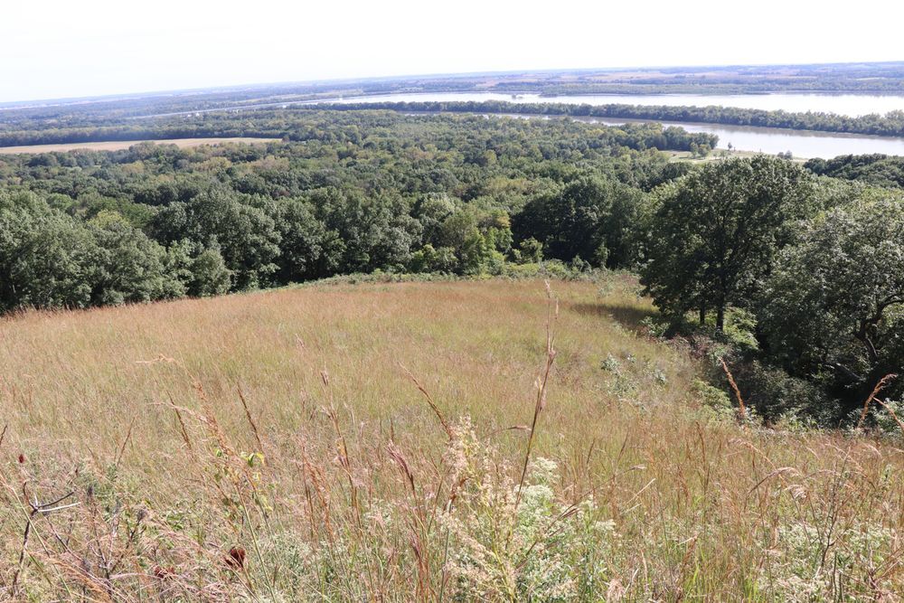 Illinois Seeking To Revive Hill Prairies Home Garden Qctimes Com