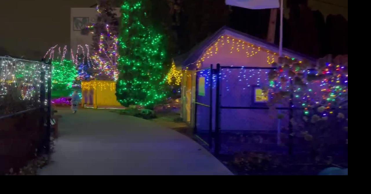 QuadCity Botanical Center Winter Night,Winter Lights display