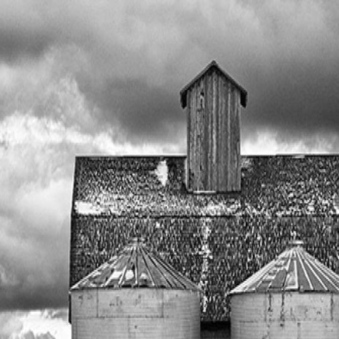Barn Again Qctimes Com