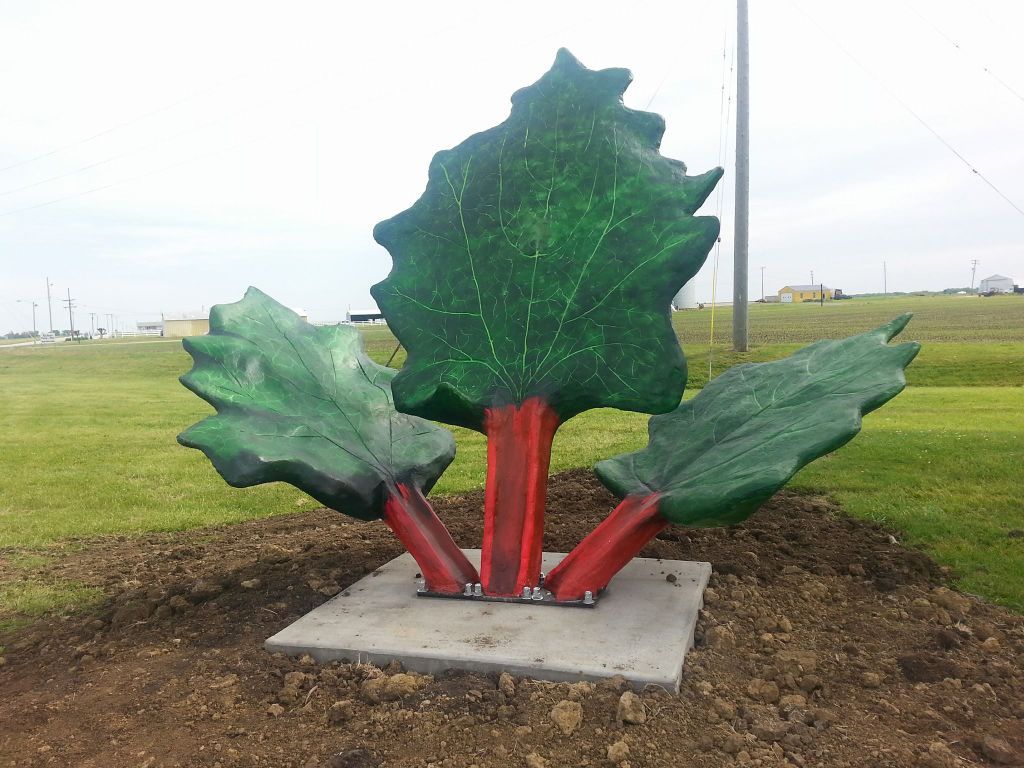 Aledo native Suzy Bogguss returns for 25th Rhubarb Fest Local News