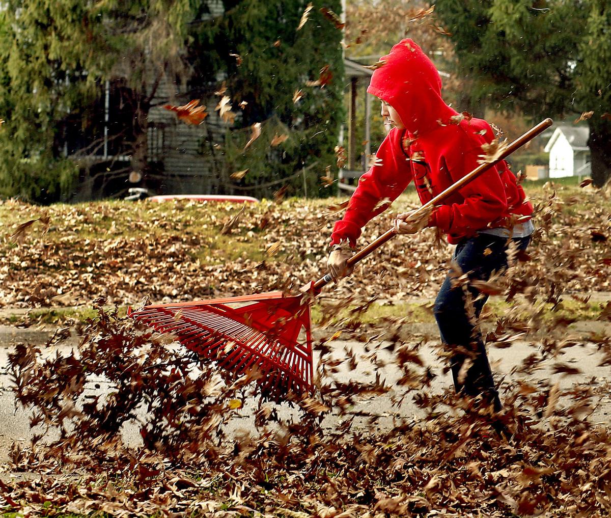 No Sticker Needed For Yard Waste In Bettendorf & Davenport, Iowa