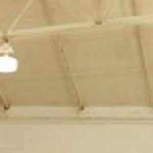 Tree Plants Seeds At Basketball Camp Sports Qctimes Com