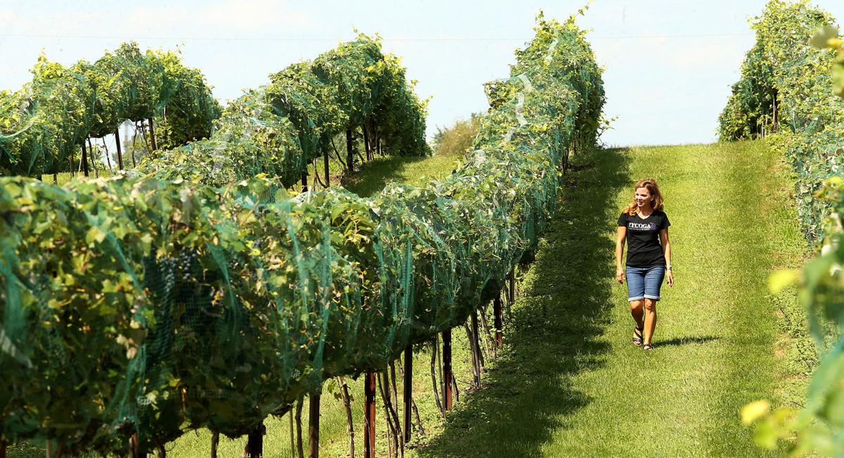 Big Story California S Got Nothing On Iowa S Growing Wine Scene Local News Qctimes Com