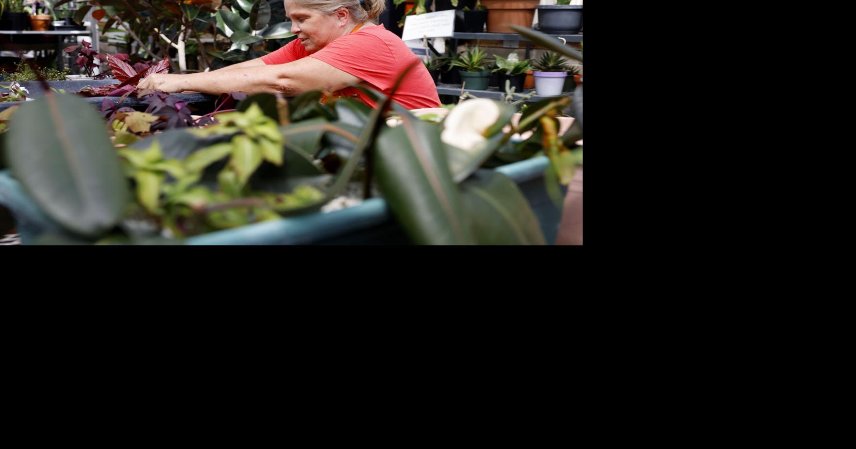 Photos: A looks at Moline's Riverside Garden Center