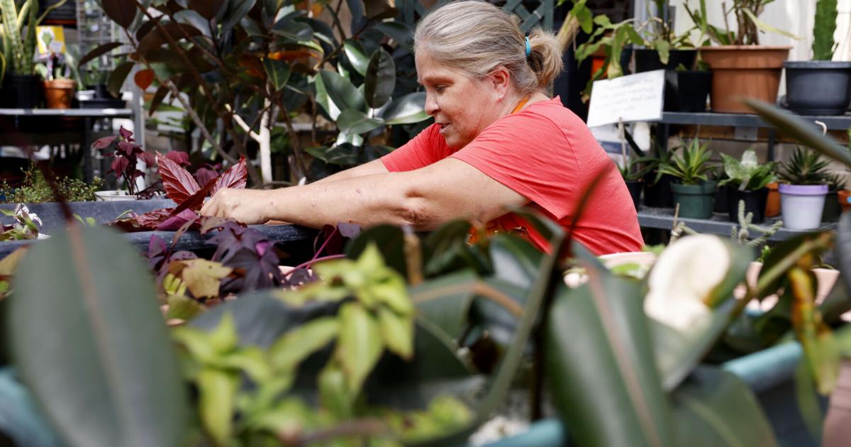 Photos: A looks at Moline's Riverside Garden Center