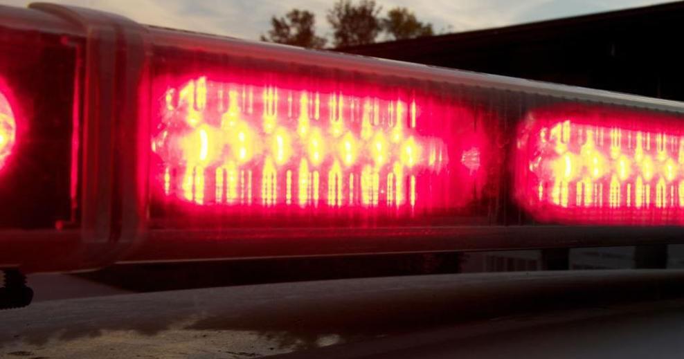 Two arrested on animal neglect charges - Vimarsana News