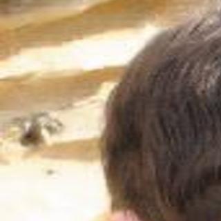 Zachary Taylor Crutchfield Obituaries Qctimes Com Learn spanish online with jennifer cardona. zachary taylor crutchfield obituaries