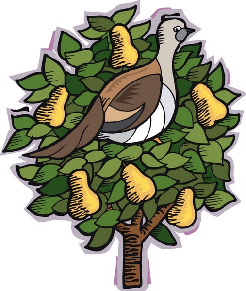 Partridge in a pear tree | | qctimes.com