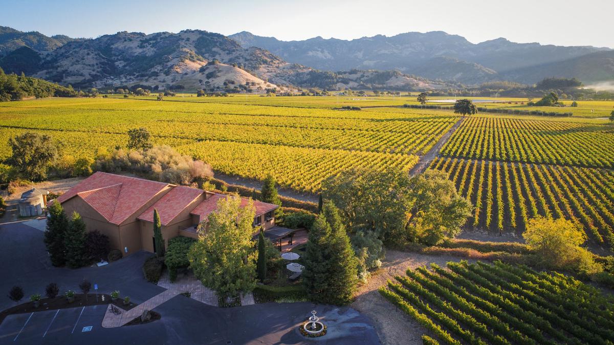 World Cabernet Day