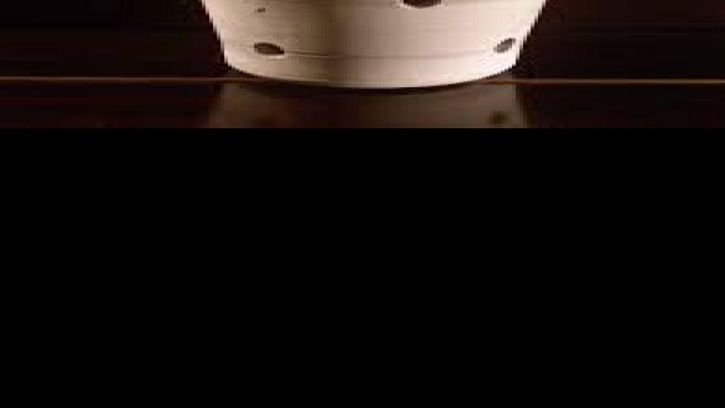 ORCHIDS GROW BEST IN POTS WITH HOLES Home & Garden