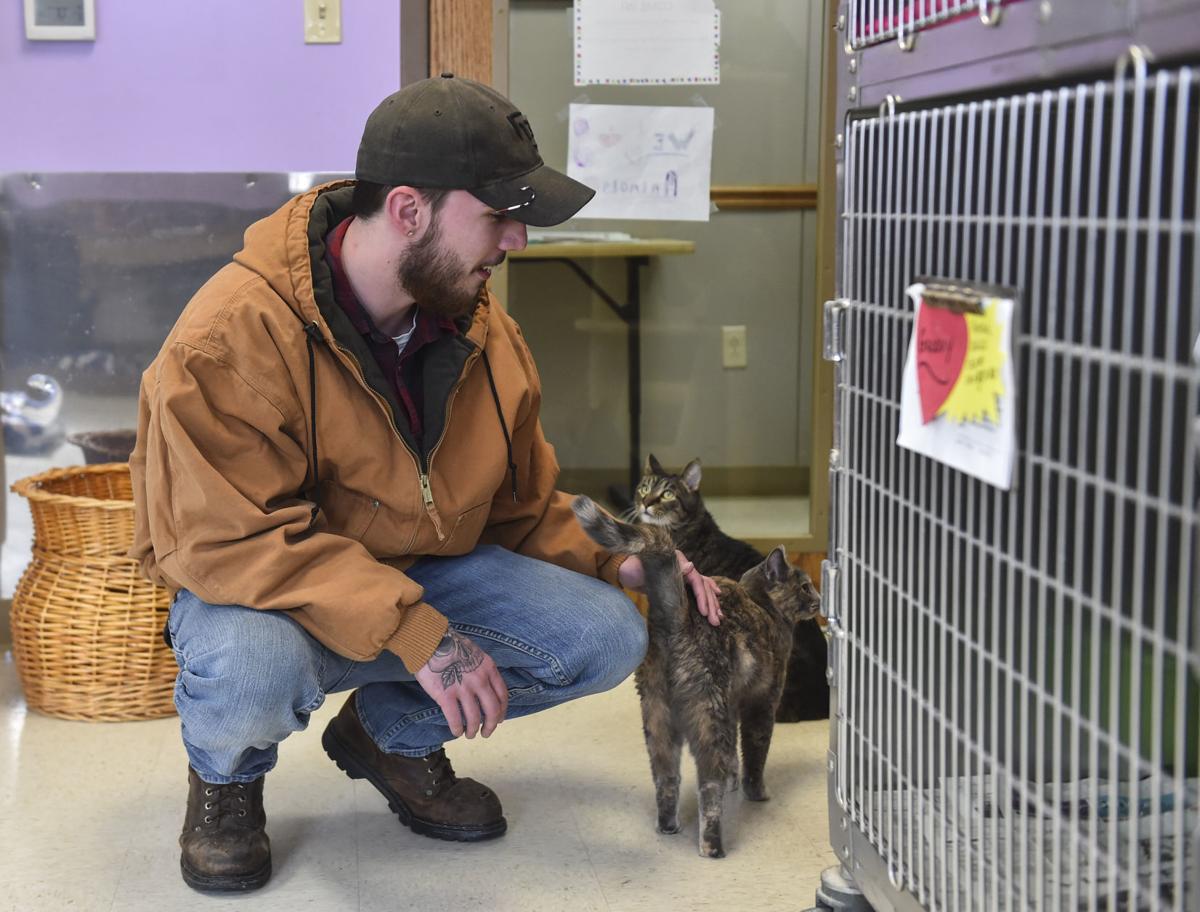 Fewer animals adopted out of Rock Island County Animal Shelter in 2018 Fewer animals adopted out of Rock Island County Animal Shelter in 2018