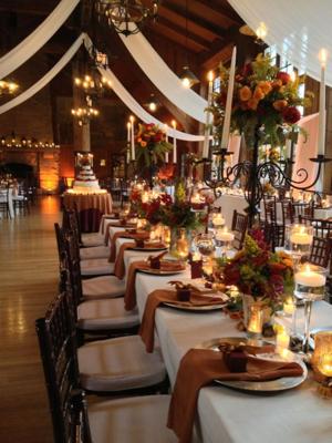 Tamara Wendt Design