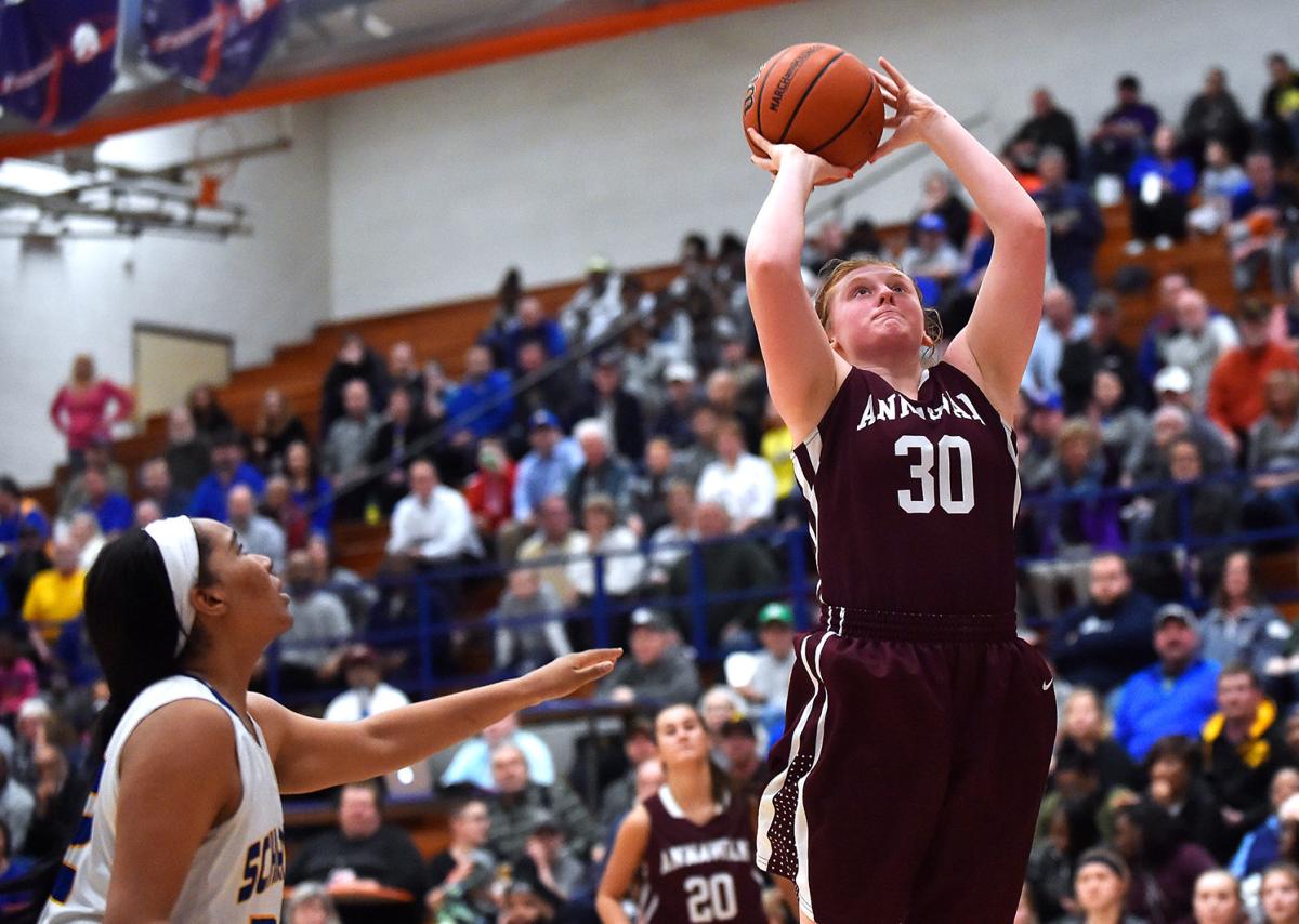 Annawan's run ends against Danville Schlarman High School Girls