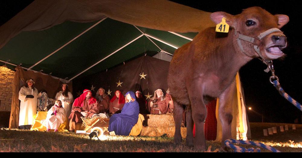 Living Nativity raises funds for food pantry