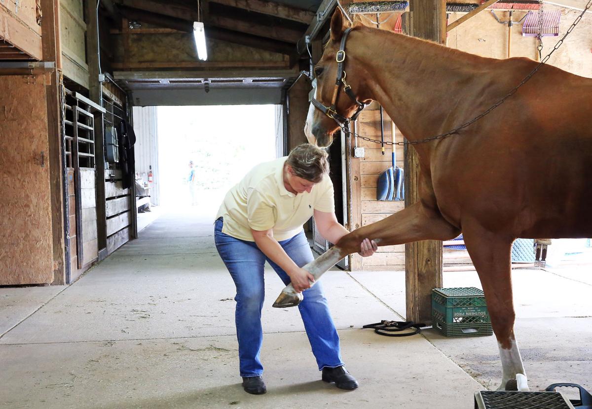 Massage therapist offers therapeutic skills to horses Business