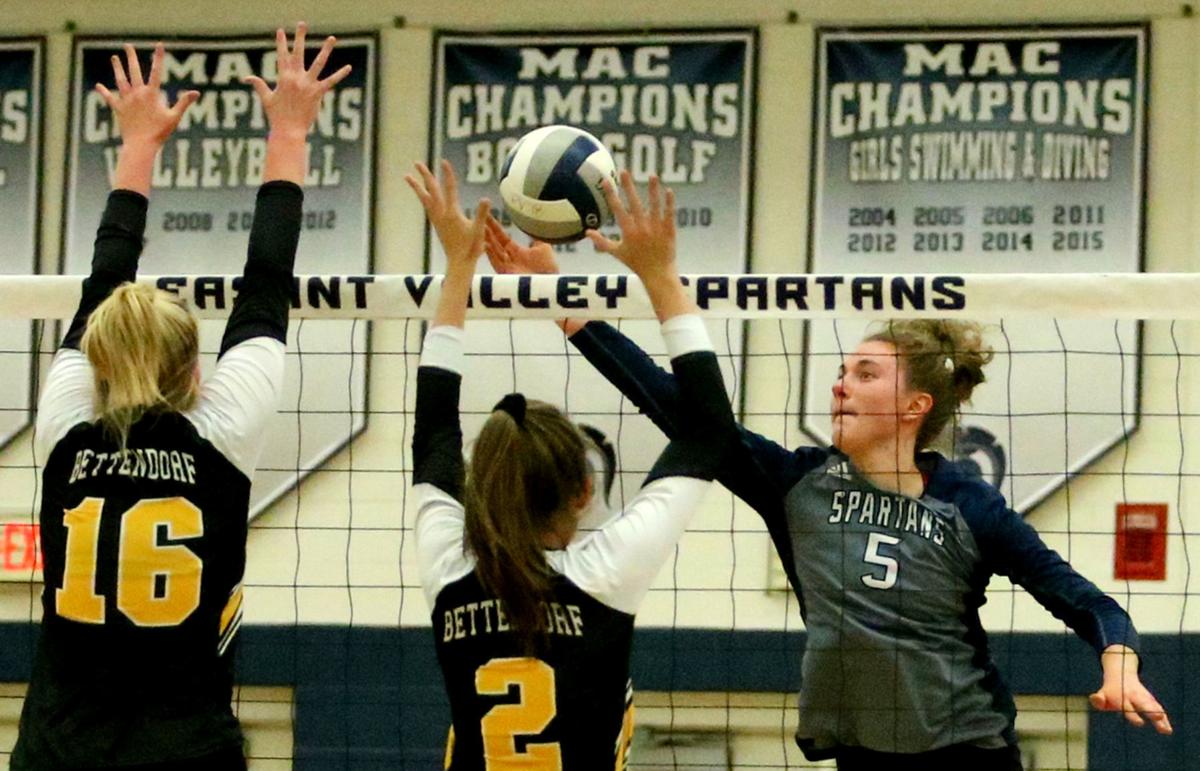 QuadCity Times AllMetro volleyball team