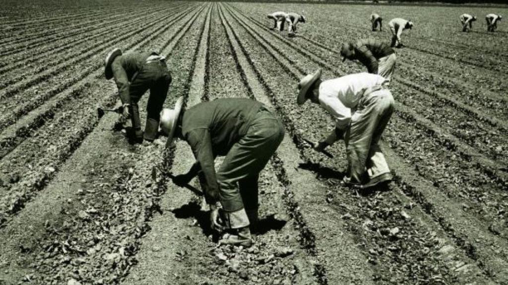 Exhibit looks at Mexican labor program | | qctimes.com