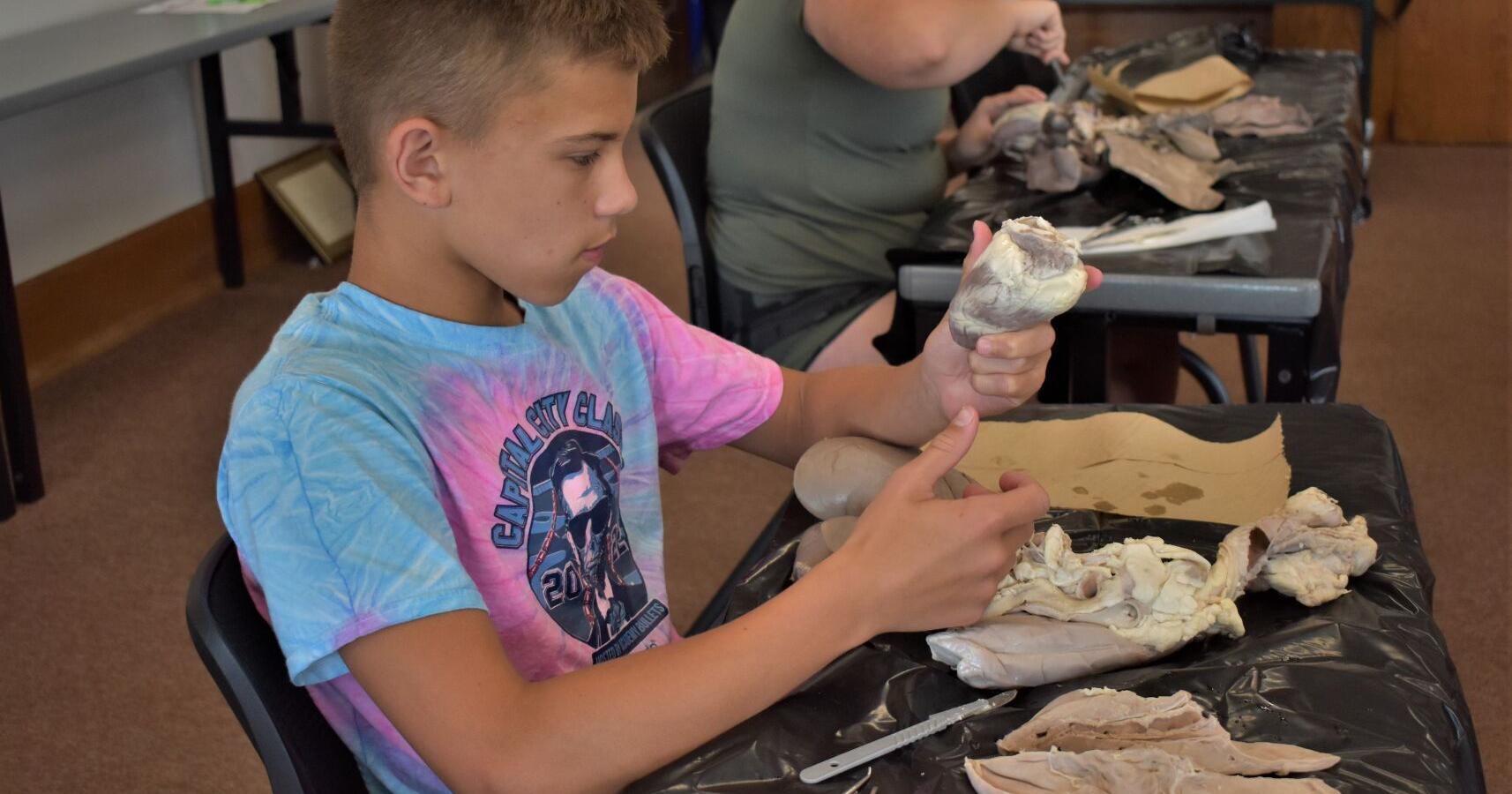 Teens swap books for scalpels at Rock Island Library dissection workshop - Vimarsana News