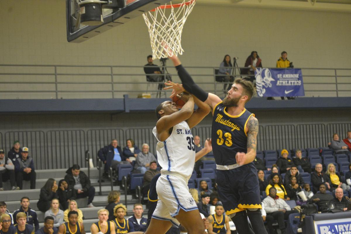Bees Crash The Boards Roll Past Mount Mercy College Basketball