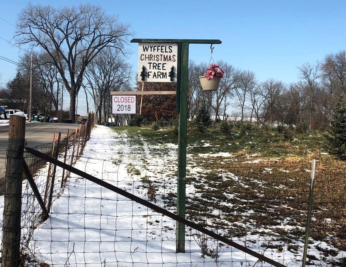 Christmas Tree Farm In Moline Closed For The Season: 'We Christmas Tree Farm In Moline Closed For The Season: 'We