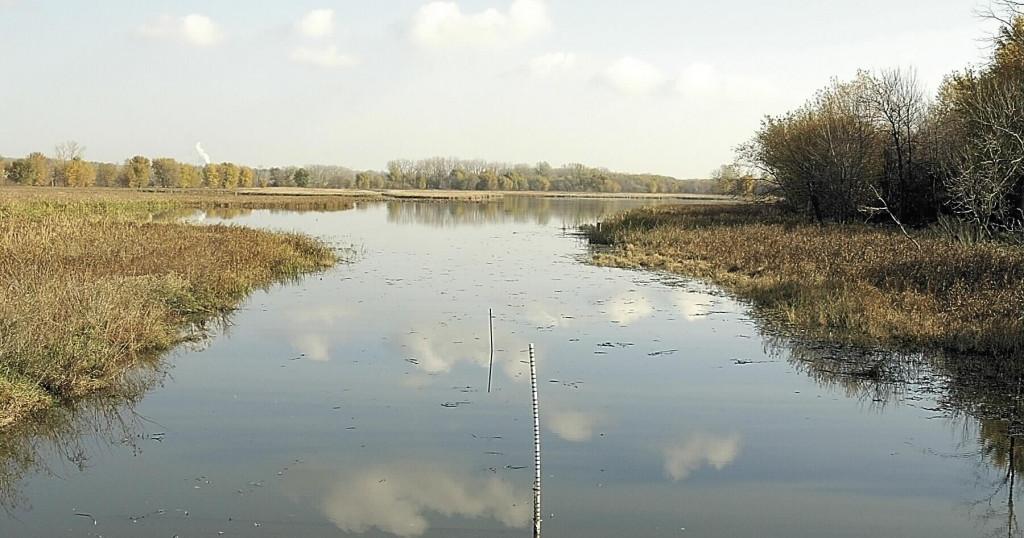 'Make Friends with the Marsh' project planned