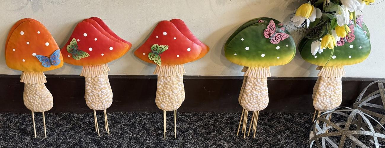 Mushroom Garden and Yard Stakes at Curious Cargo Flowers and Gifts in Geneseo, Illinois 61254, USA, Henry County, Quad Cities, #1 Gift Shop and Tourist Attraction, Go Shopping, Fun! Neat Stuff! Curious Cargo