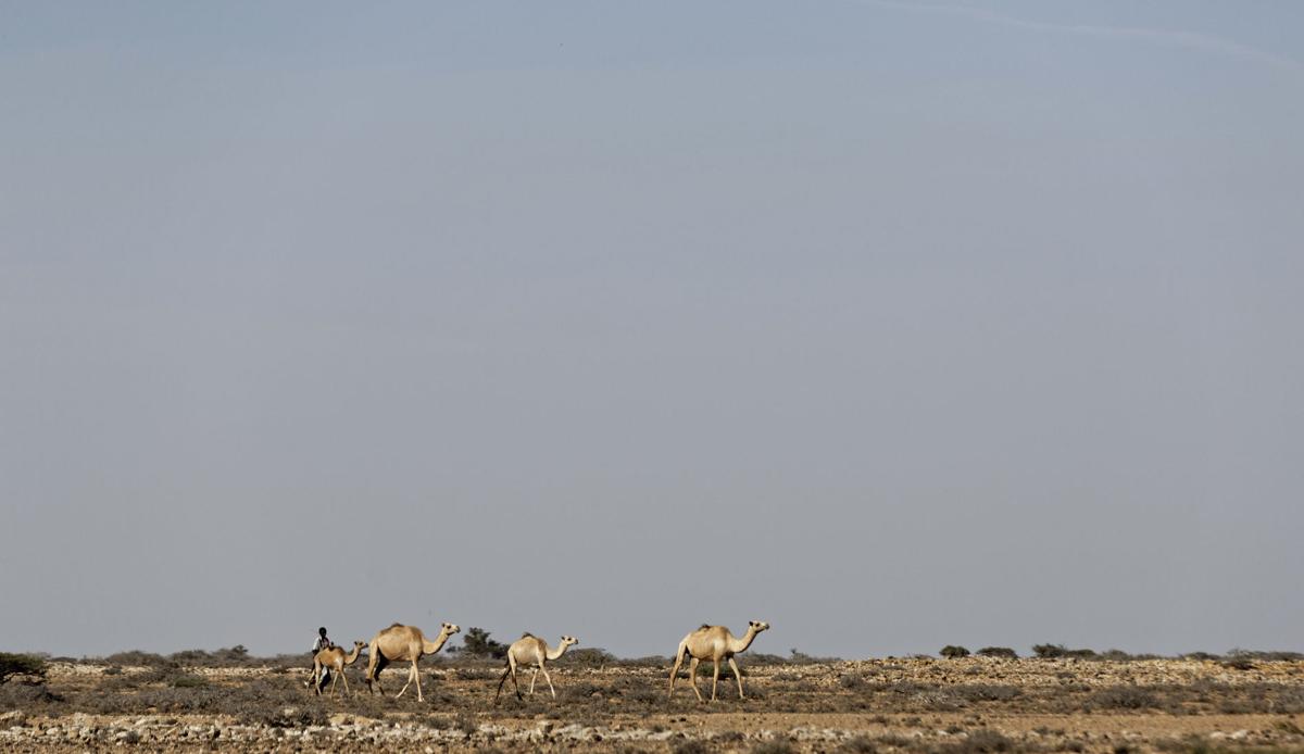 Somalia Droughts Toll