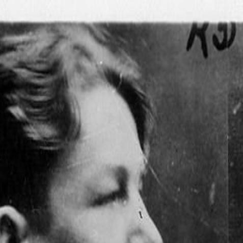 Lester Gillis Baby Face Nelson Qctimes Com