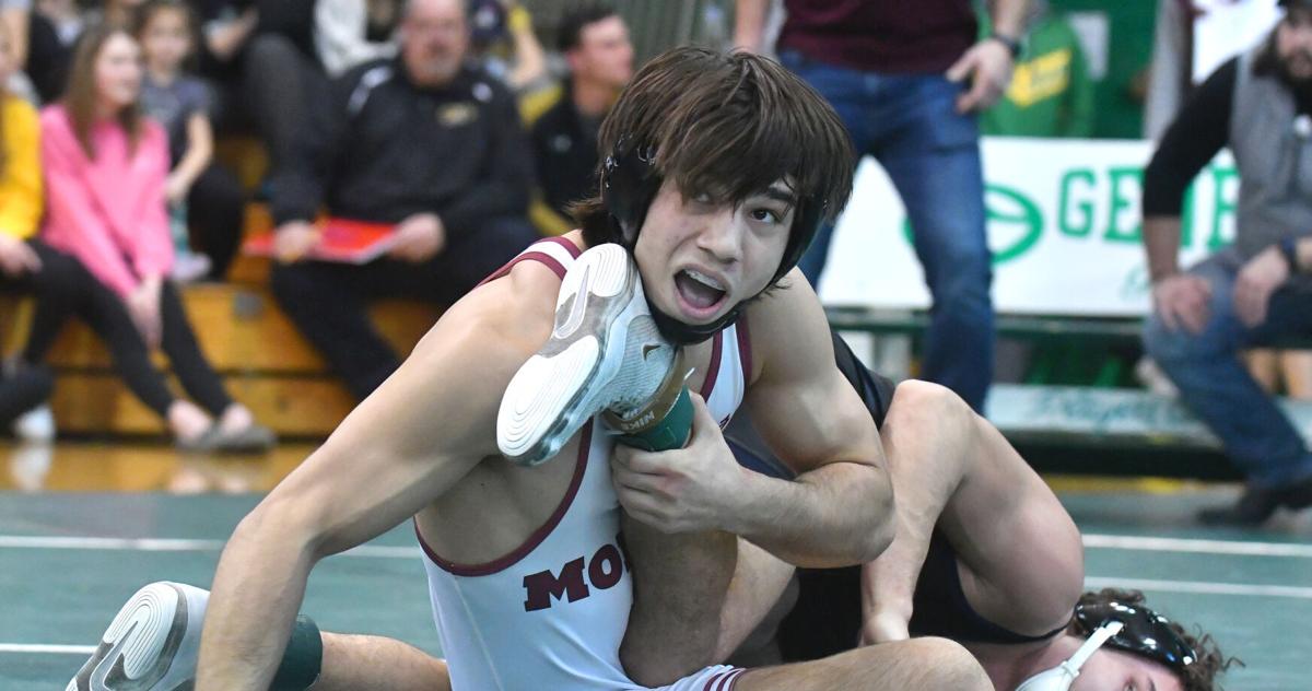 IHSA boys sectional wrestling local infobox IHSA boys sectional wrestling local infobox