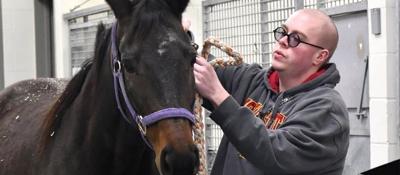 Celebrating Vet Tech Week: How NICC Alum Jacob Leuchtenmacher is Shaping Future Vets at ISU