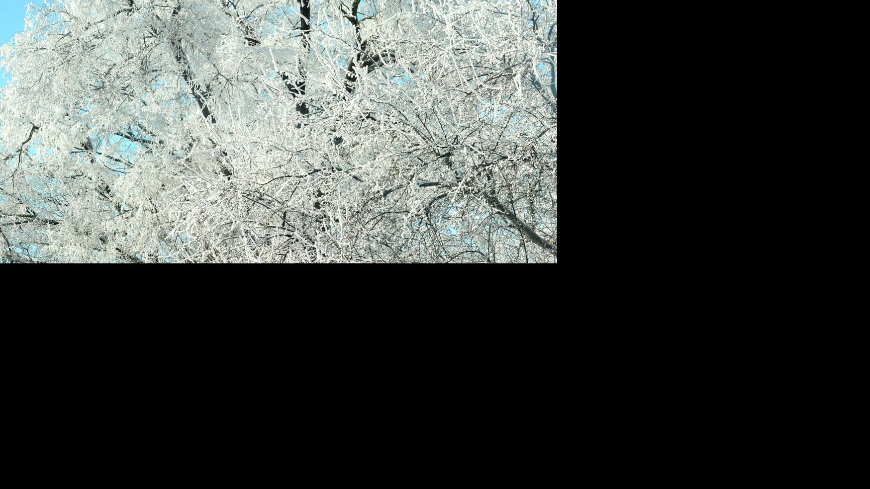 Recommendations for dealing with snow, ice | House & Yard