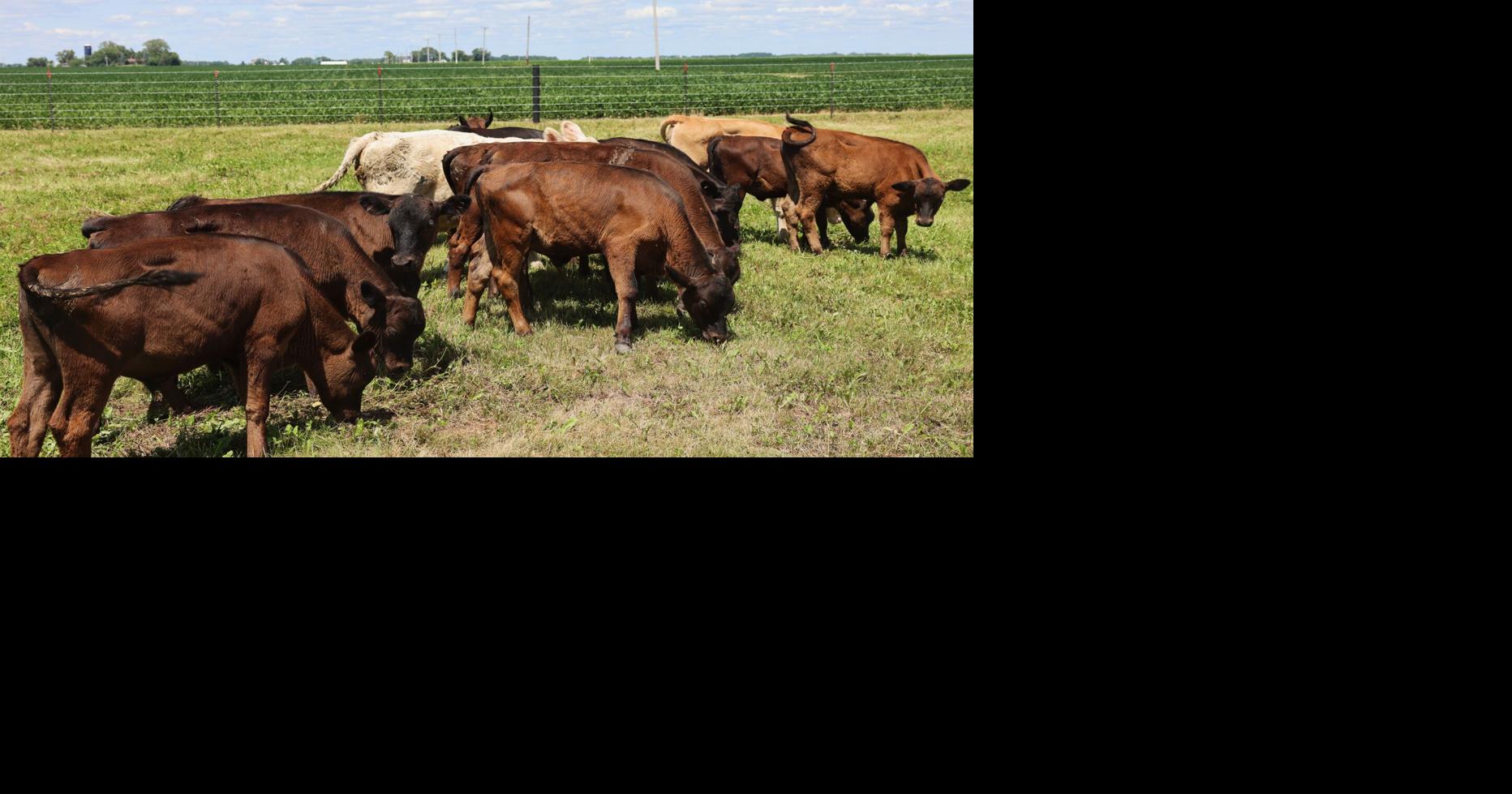 Illinois beef industry sees slow decline, Joslin plant closure may increase expenses