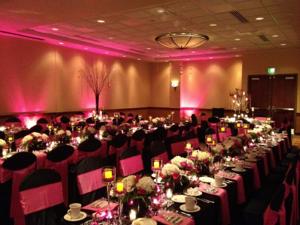 Tamara Wendt Design