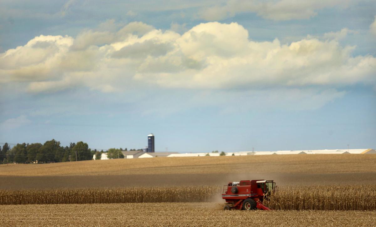 Rural Route 4 As fields dry out, harvesting can finally begin Columnists