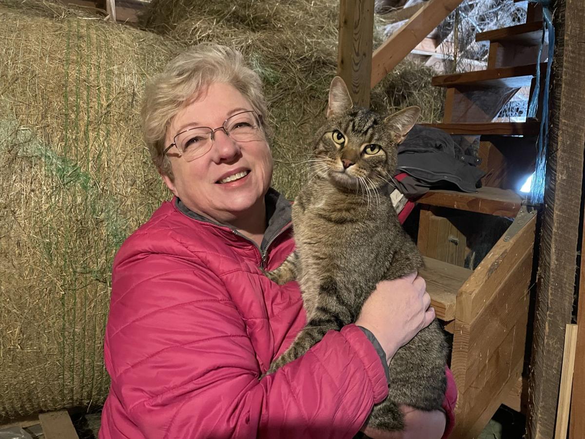 Ann Kandis with missing cat