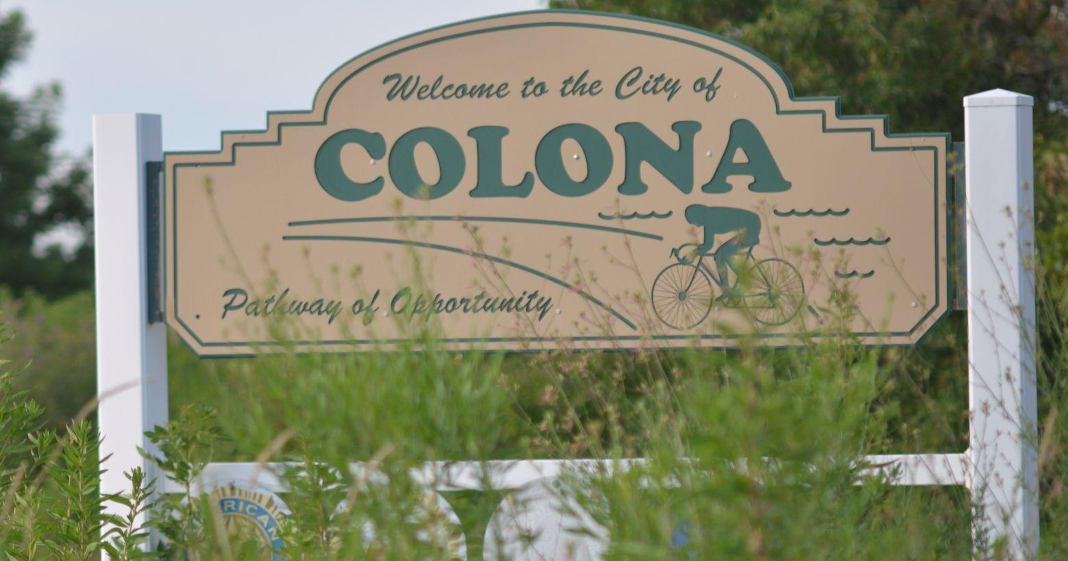 Colona tables vote on backyard chickens for more information - Vimarsana News