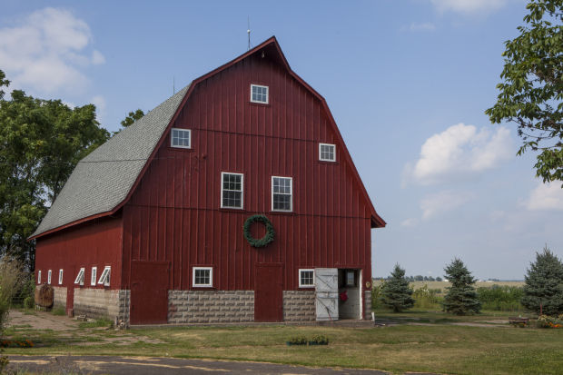 081814-frye-farm-26