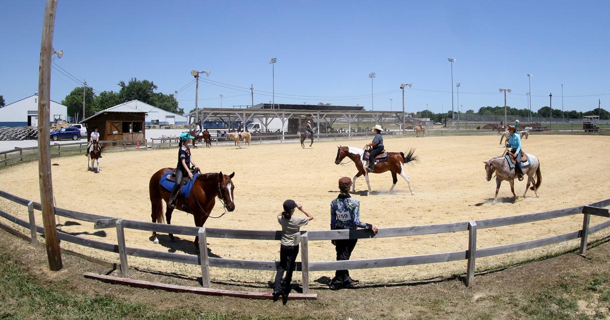 Horse show in at the MV Fairgrounds News Local and National