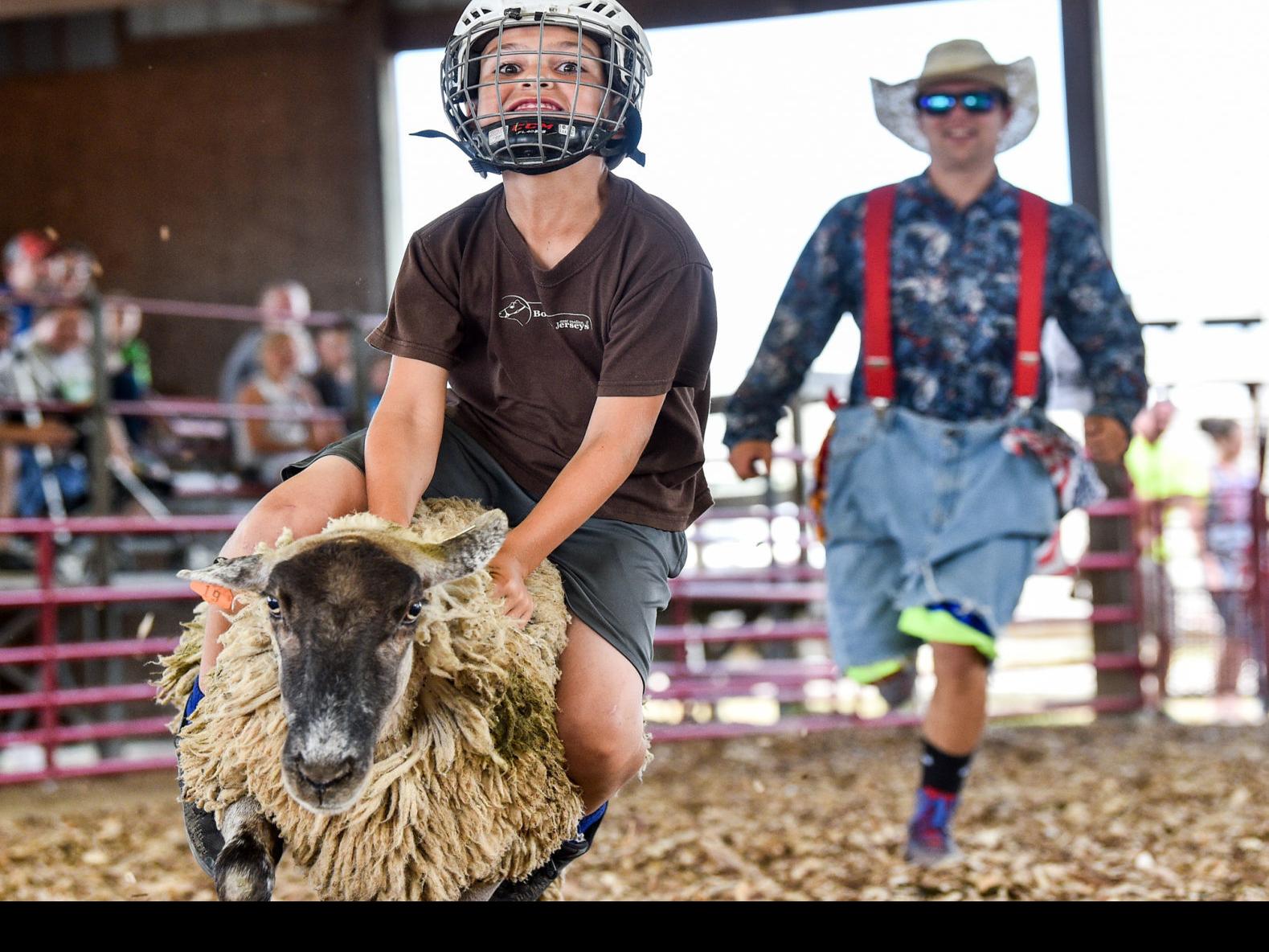 Rock Island County Fair Canceled Mercer County Postponed Local News Qctimes Com Homefacts rates rock island county's schools as average, with an overall c rating. rock island county fair canceled