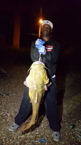Davenport fisherman catches, photographs and releases 38-pound catfish