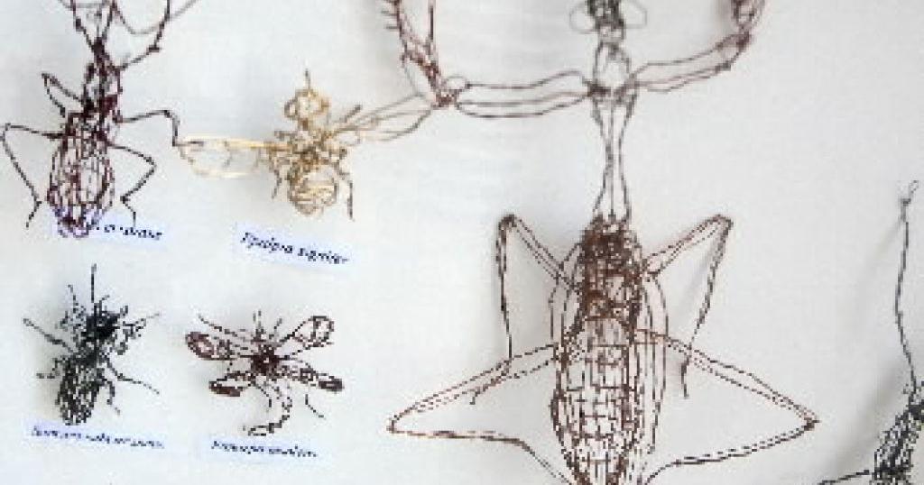 Wire insect art at the Botanical Center