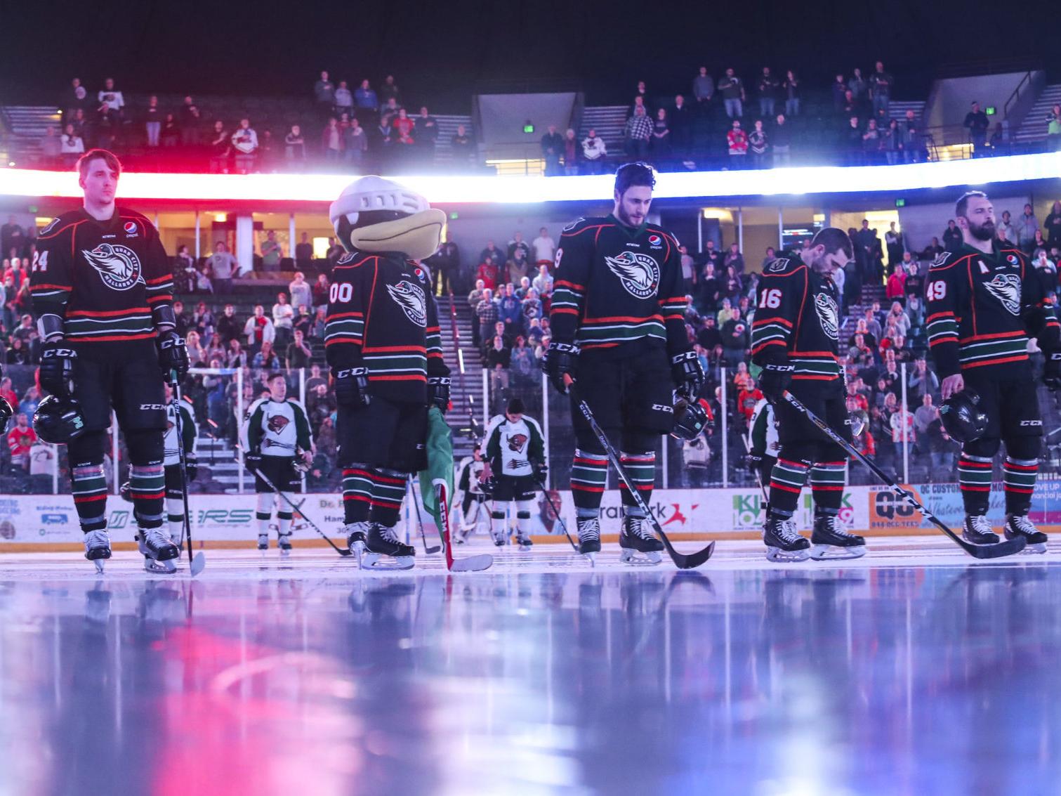 Quad City Mallards To Cease Operations At End Of Season Quad City Storm Hockey Qctimes Com