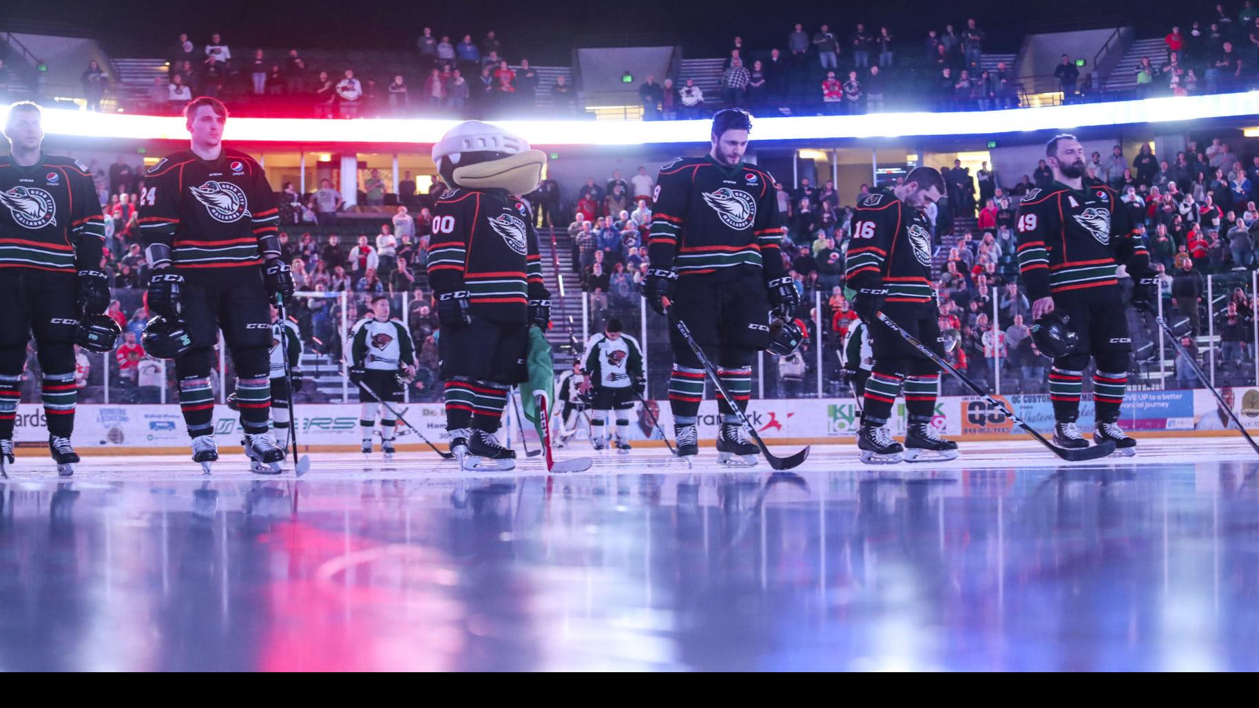 Quad City Mallards To Cease Operations At End Of Season Quad City Storm Hockey Qctimes Com