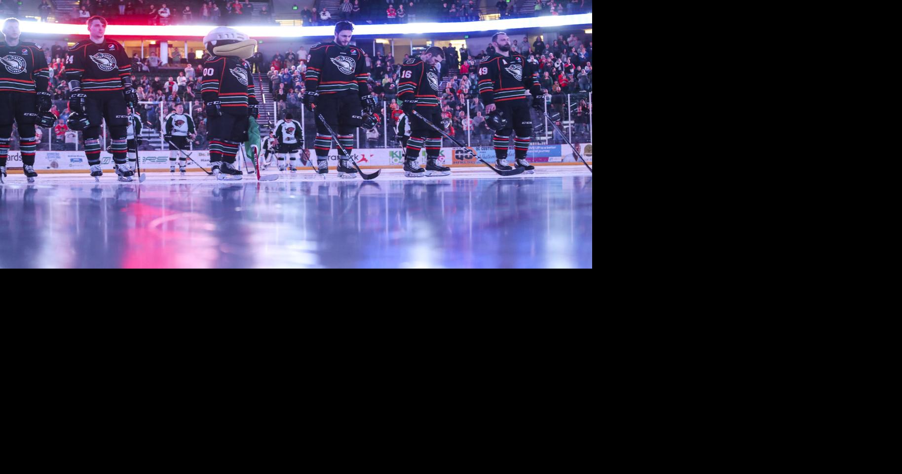Quad City Mallards Will be Featured in Next NHL Video Game